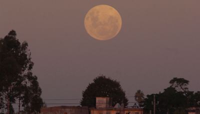 ¿Cuándo hay Luna llena en mayo 2024 y por qué se la llama "Luna de Flores"? La fecha y hora para Uruguay