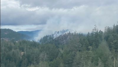 Smokejumpers deployed to eastern flank of 230-hectare wildfire near Sooke