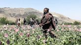 Exclusiva de la BBC: dentro de la implacable guerra de los talibanes contra las drogas en Afganistán