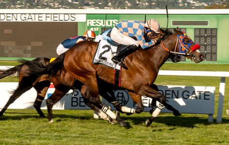 Lammas Wins San Francisco Mile at Golden Gate