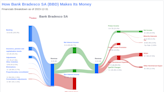 Bank Bradesco SA's Dividend Analysis