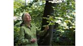 DR. JANE GOODALL RETURNS TO CANADA TWICE THIS FALL AS SHE CONTINUES HER 90TH BIRTHDAY TOUR