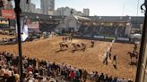 Exposición Rural 2024: el caballo criollo fue reconocido como “Marca País” de la Argentina