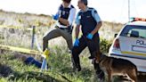 Cadaver Dogs Create Historical Breakthroughs