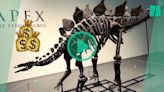 Ce squelette de dinosaure vendu à plus de 44 millions de dollars aux enchères, un record