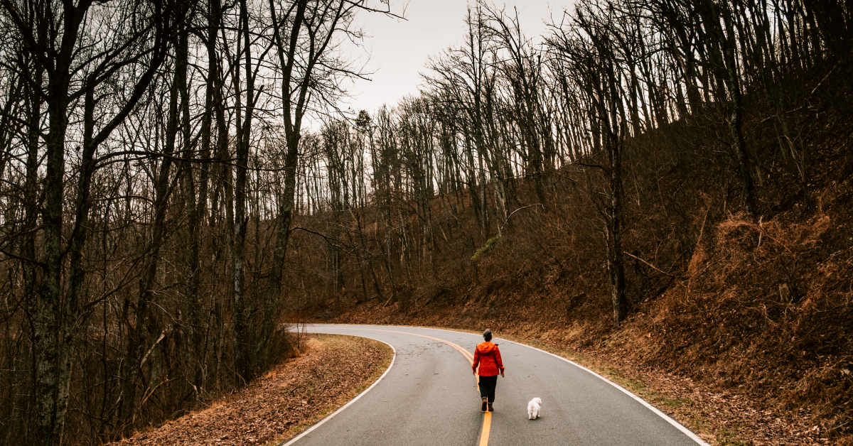 Cops Warn Dog Owners of Disturbing Find Along Appalachian Trail