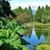 VanDusen Botanical Garden