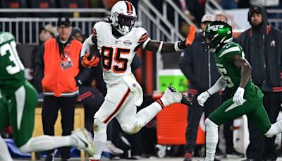 Browns' David Njoku Considered Overvalued Heading Into 2024