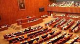 Senate committee agrees to increase in number of SC judges