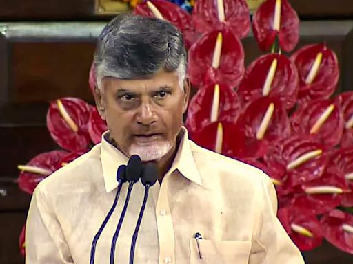 Chandrababu Naidu's white paper shows why Andhra Pradesh's per capita income fell below Telangana's