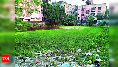 Chief Minister Criticizes Filling of Ponds for Constructions | Kolkata News - Times of India