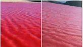 Egipto: las razones por las que el río Nilo se tiñó de rojo y asombró a todo el mundo