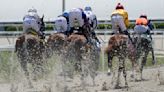 Synthetic surfaces gaining traction at major horse racing tracks