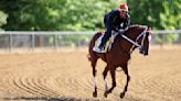 Preakness 2023 live stream: How to watch online today, race time, horses and odds