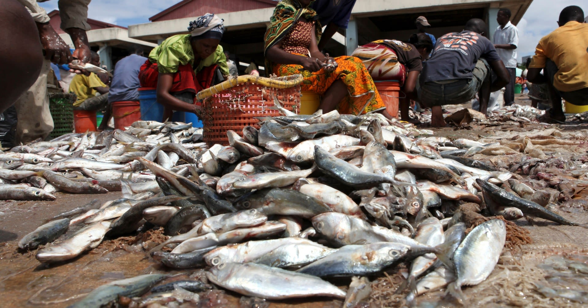 The Global South cities getting to grips with methane pollution from organic waste