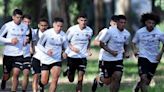 De dos a tres meses fuera: la lesión que complica a Almirón en Colo Colo