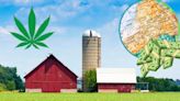 Marijuana Farmers Save Up to $40,000 in New York?