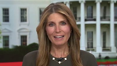 Nicolle Wallace: ‘The country has been drinking from a firehouse of Trump lies for years’