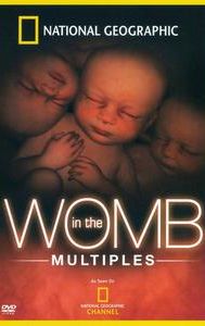 In the Womb: Multiples