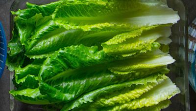How to Store Lettuce to Help it Stay Crisp and Fresh For Up to 10 Days
