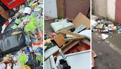 Drugs, rats and arson attacks: The ongoing fly-tipping menace blighting Middlesbrough's back alleys