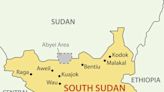 52 killed in clashes in the disputed oil-rich African region of Abyei, an official says
