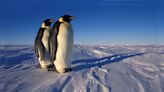 Antarctica's Ozone Hole Is Persisting Later Into the Year, Raising Concerns for Wildlife