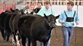 Marion County Fair ready to roll for the 172nd year