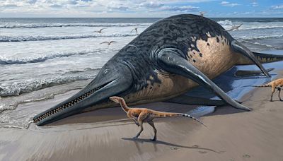 An 11-Year-Old Girl’s Fossil Find Is the Largest Known Ocean Reptile