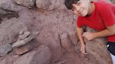Tiene 12 años y encontró un dinosaurio en el patio de su abuelo en Añelo: «Vi una costilla» - Diario Río Negro