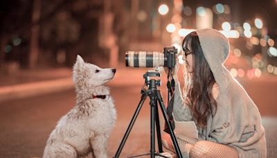 Do you have a camera-shy dog? Understanding dog photography