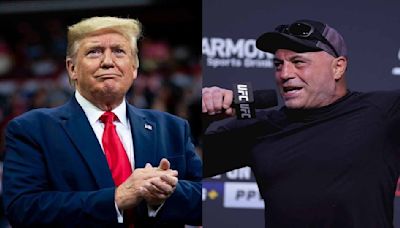 Joe Rogan Reveals Whether He Thinks Donald Trump Will Start World War 3 if He Wins 2024 US Presidential Election