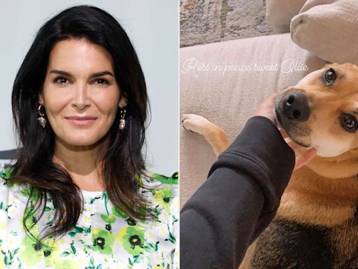 Angie Harmon Sues Instacart and Delivery Driver After Her Dog Was Shot and Killed