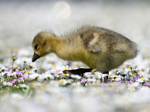 DWD: Bis zu 25 Grad am Wochenende