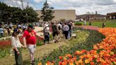 See photos as the 95th Tulip Time Festival kicks off in Holland