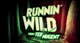 Ted Nugent: Sweden Rocks