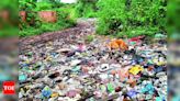 Preventing Dengue Spread: Court Questions BBMP's Solid Waste Management | Bengaluru News - Times of India