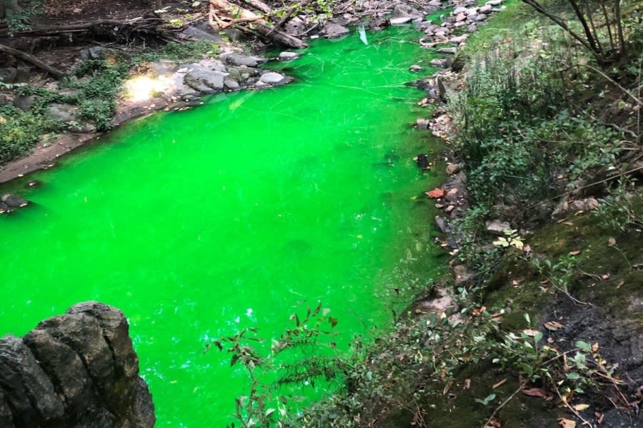 Rock Creek goes green (literally): DC Water to conduct study