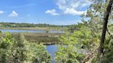 How David beat Goliath: Spruce Creek conservationists block I-95 interchange - for now