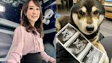 41歲美女主播吳宇舒宣布懷孕！ 喜曬5月孕肚：不是吃太飽