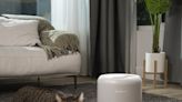 Keep Your Furry Friends (And You) Allergen-Free With These Pet-Friendly Air Purifiers