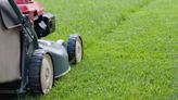 Grow thicker than ever lawns by summer by avoiding one mistake that kills grass
