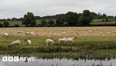 Hampshire & Isle of Wight's Big Picture: 22 July - 28 July 2024