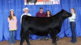 Duckworth’s Shadoe Awarded Reserve Grand Champion