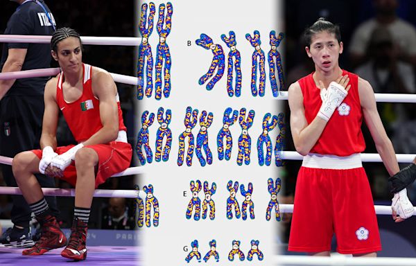 Fact Check: Olympics boxing gender testing controversy explained