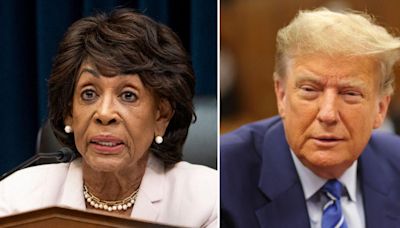 Maxine Waters Warns That Donald Trump Supporters Are Allegedly Plotting Violent Attack if Ex-President Loses 2024 Race