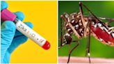 Two more pregnant women test positive for Zika virus in Pune; total cases at 15