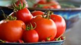 Keep tomatoes fresh for 10 days longer by storing away from popular spot