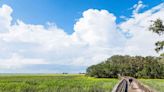 Explore The Beaches And Nature Trails Of Jekyll Island