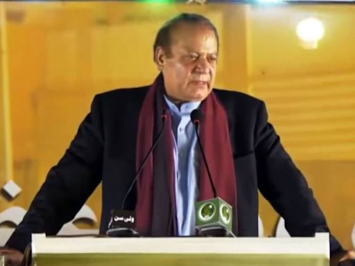 "Pak Army Officers Touched Nawaz Sharif's Knees...": Son-In-Law's Big Claim